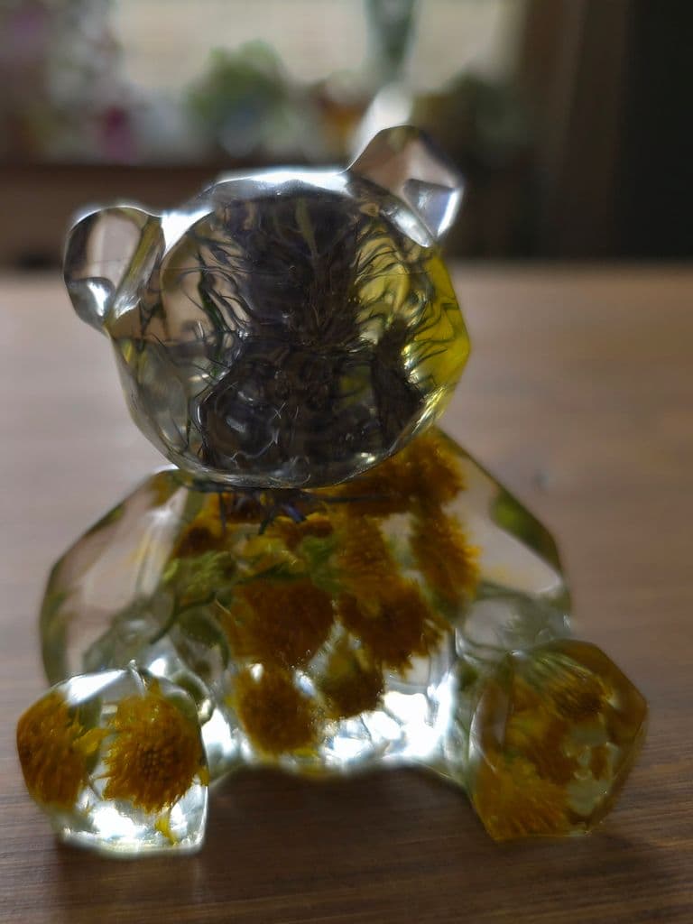 Tiny teddy